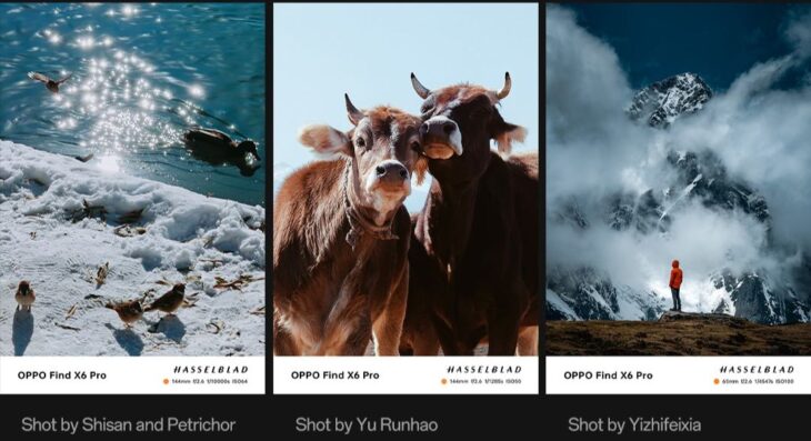 OPPO Uluslararası İmagine IF Fotoğraf Ödülleri 2024’e Başvurular Devam Ediyor 15 İmagine IF Fotoğraf