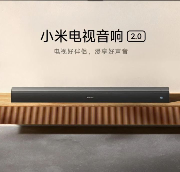  Xiaomi TV Speaker 2.1