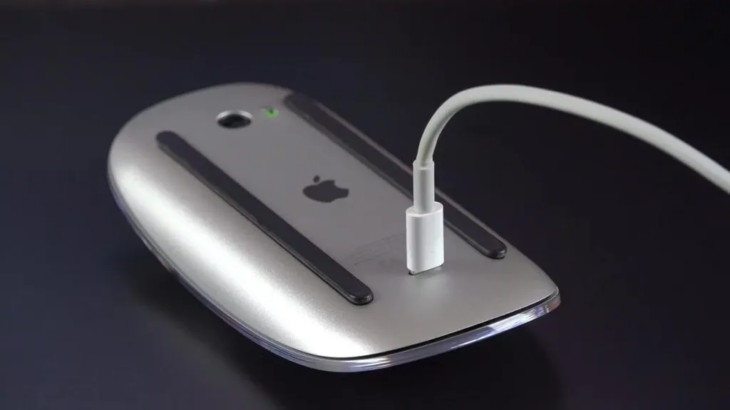 magic mouse sarj