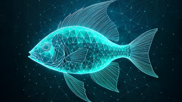 Küresel Casusluk Operasyonu FishMedley’i Ortaya Çıkardı 3 güvenlik uzmanları FishMedley