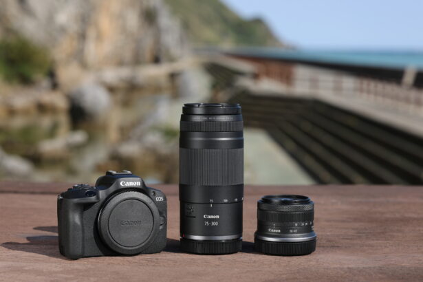 Yeni Canon RF 75-300mm F4-5.6 Telefoto Zum Lensi İle Hayatı Yakınlaştırın 49 telefoto zum lens