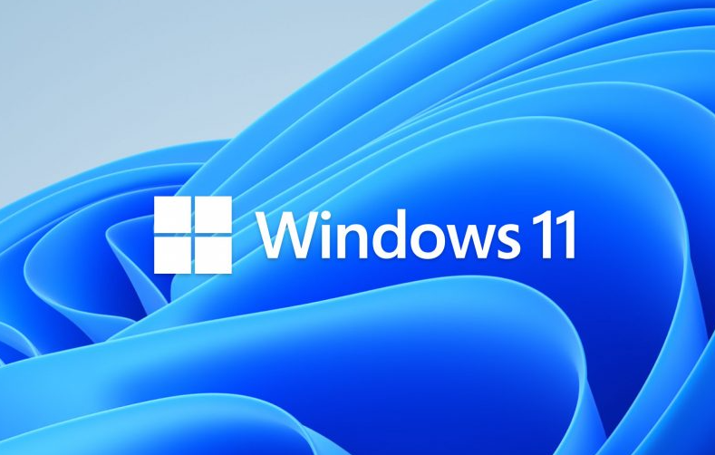 Microsoft Windows 11