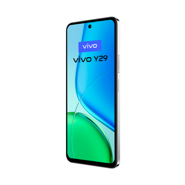 vivo Y29