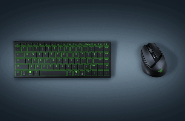 Razer Joro