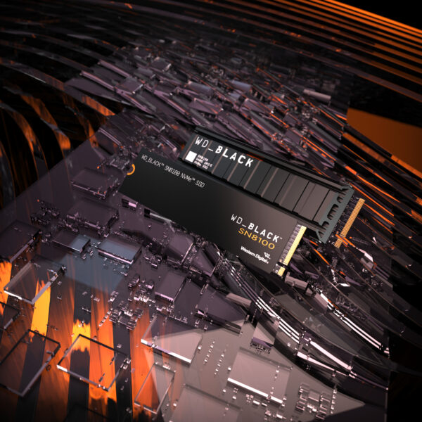 WD BLACK SN8100