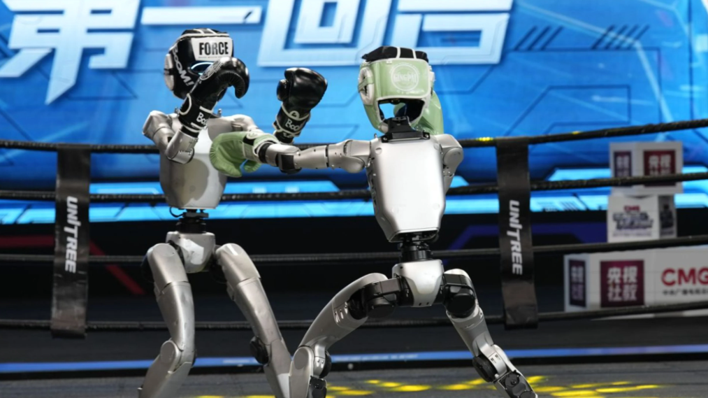 robot boks turnuvası