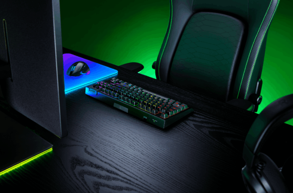RAZER, BLACKWIDOW