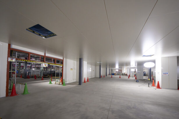 Nissan, Katı Hal Pil Üreticisi Licap Technologies İle İş Birliği Yaptı 25 LiCAP katı hal pil