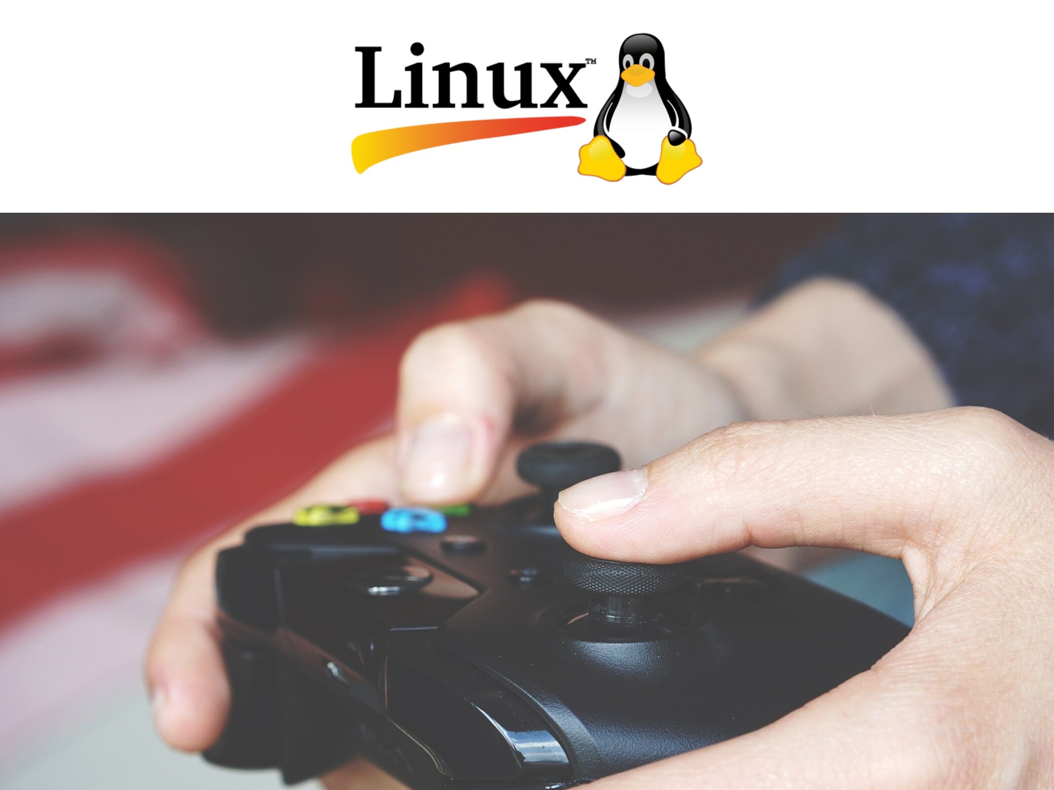 csm Linux Steam Gaming fb395dca3b