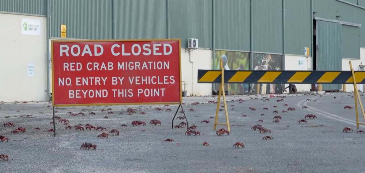 Avustralya’yla bulut anlaşmasının ardından: Google, Christmas Adası’nda yapay zekâ üssü kuruyor 2 Google