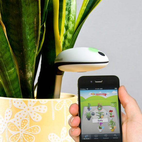 Koubachi Wi Fi Plant Sensor