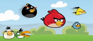 "Daha Farklı Angry Birds Oyunları Yapılmalı" 21 angry bird1