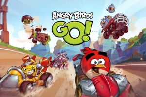 angry birds go