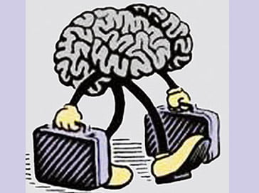 beyin göçü 248003