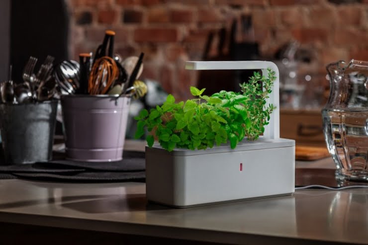 smart herb garden 0